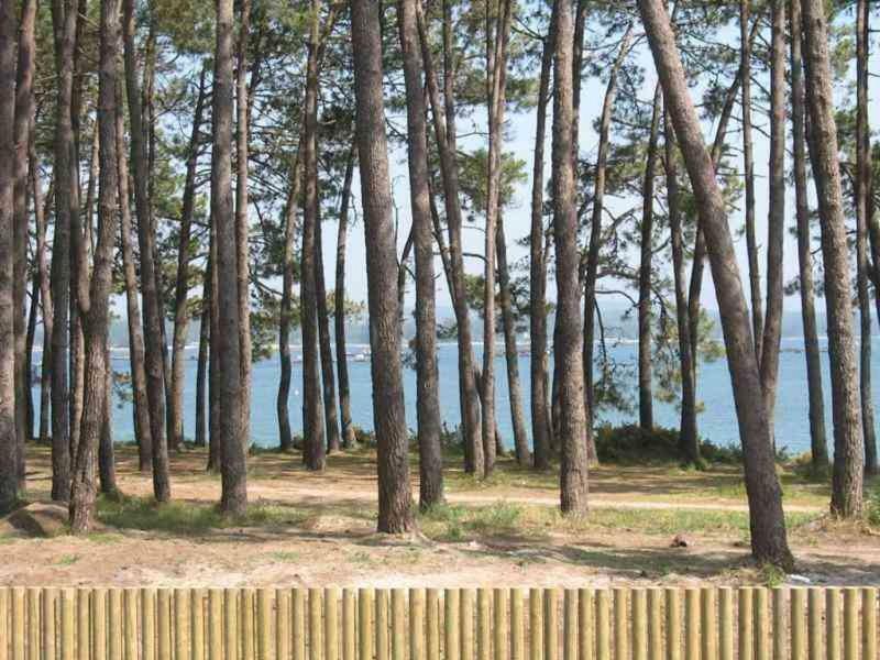 Apartamento Playa Ісла-де-Ароса Екстер'єр фото